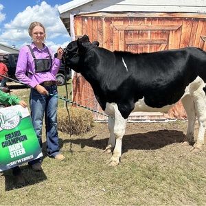 Meet your Posher, Ella